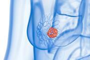 shutterstock_2221003615