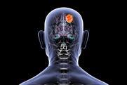 shutterstock_2678738361
