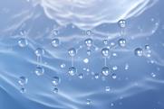 shutterstock_2465206771