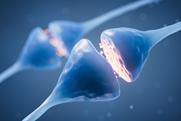 shutterstock_2288981587