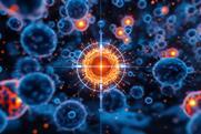 shutterstock_2694993147