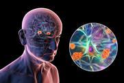 shutterstock_2657028461