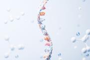 shutterstock_2432150677