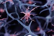shutterstock_2197736775