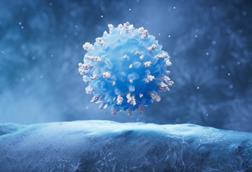 Lymphocytes,And,Biological,Immune,System,,3d,Rendering.,3d,Illustration.