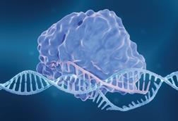 090424_DTR Webinar_Non Branded Image