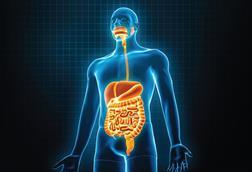 100224_DTR Webinar_Non Branded Image 600