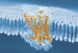 3d,Illustration,Of,Molecule,Model.,Science,Background,With,Molecules,Chemical