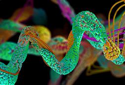 Chain,Of,Amino,Acid,Or,Bio,Molecules,Called,Protein,-