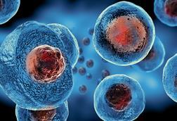 Embryonic,Stem,Cells,,,Cellular,Therapy,,,3d,Rendering