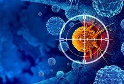 shutterstock_2280911871 (1)