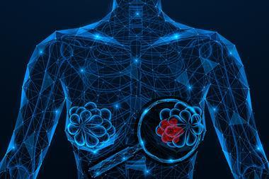 shutterstock_2630279391