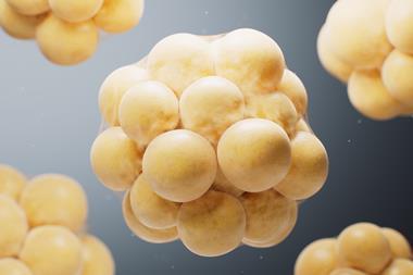 shutterstock_2683145831