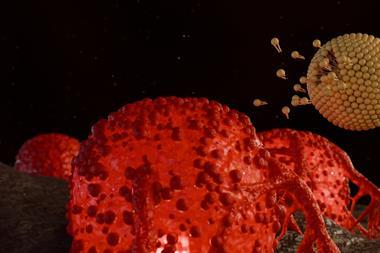 shutterstock_2652867949 (1)