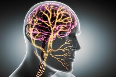 shutterstock_2626919753