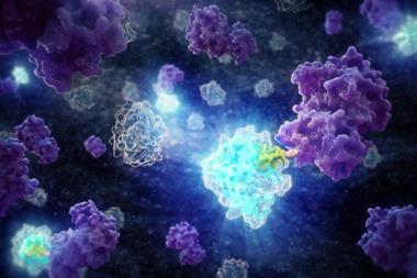 HiBiT_Protein_Tagging