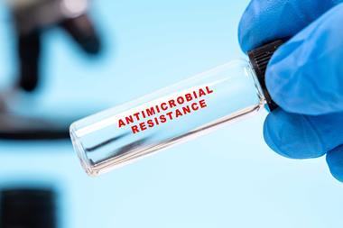 shutterstock_2671060467