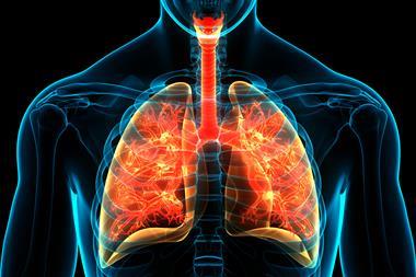 Human,Respiratory,System,Lungs,Anatomy.,3d