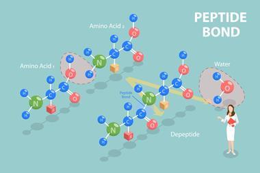 3d,Isometric,Flat,Vector,Illustration,Of,Peptide,Bond,,Chemical,Structure