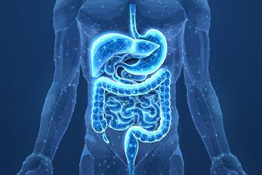 Abstract,Wireframe,Intestinal,Human,Digestive,System.,Gut,Health,,Bowel,Disease,