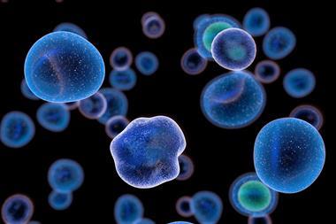 T,Cells,Attacking,Cancer,Cells,3d,Illustration