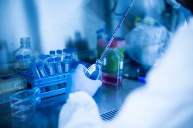 shutterstock_2374657923