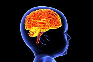 Human,Child,Body,Brain,Anatomy,And,Physiology,3d,Illustration