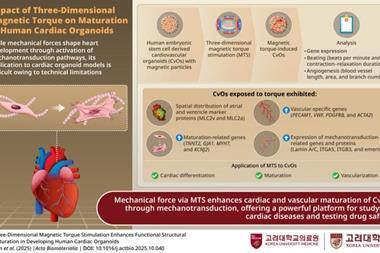 Low-Res_KORME_53_6_KORME_53_Infographic_final