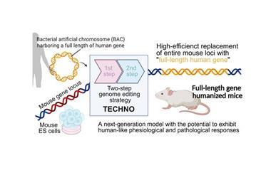 Low-Res_IMSTO_26_6_IMSTO_26_5_image