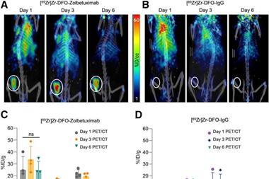 Low-Res_Esfahani Image