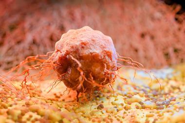shutterstock_2735873949