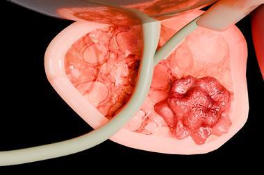 shutterstock_2482823495