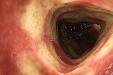 shutterstock_2229052027