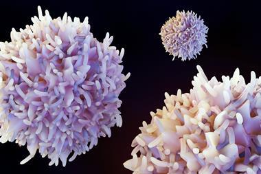 shutterstock_2370137949