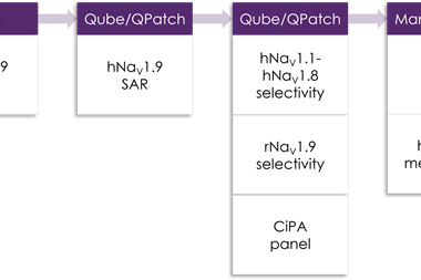Nav19 screening cascade