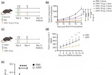 Low-Res_Figure3