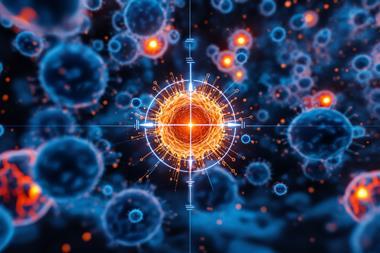 shutterstock_2694993147