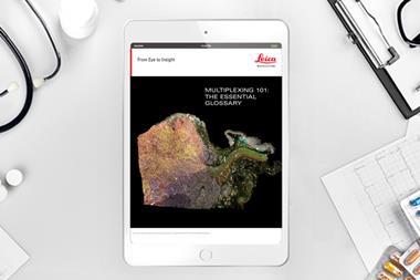 Client Asset Template copy