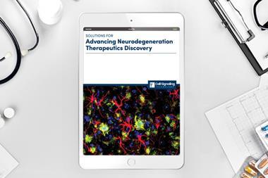 Client Asset Template copy