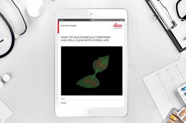 Client Asset Template copy