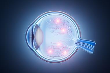 shutterstock_2656149013