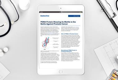 Client Asset Template - Whitepapers&Application note (vertical white ipad) copy