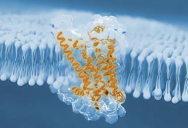 3d,Illustration,Of,Molecule,Model.,Science,Background,With,Molecules,Chemical