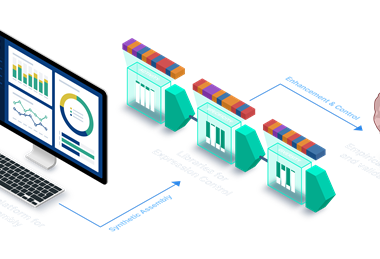 Syngensys infographic Landscape Transparent