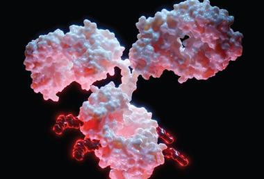 Image for DTR website_pink molecule (750 x 505)