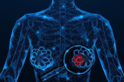 shutterstock_2630279391