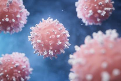 shutterstock_2480692527