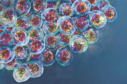 Cell-Health-DTR-Feature-Image (1)