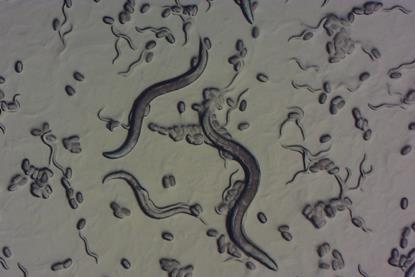 MagnitudeBiosciences-1