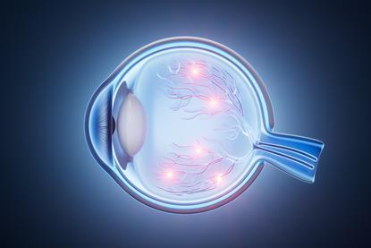 shutterstock_2656149013